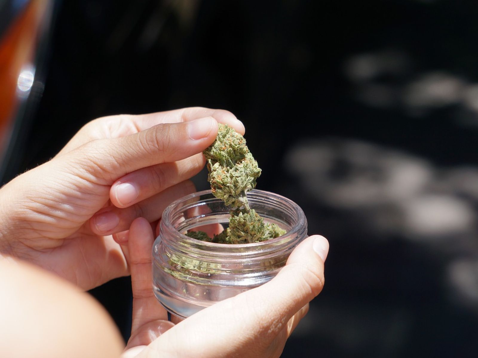 Cannabis flower jar dispensary
