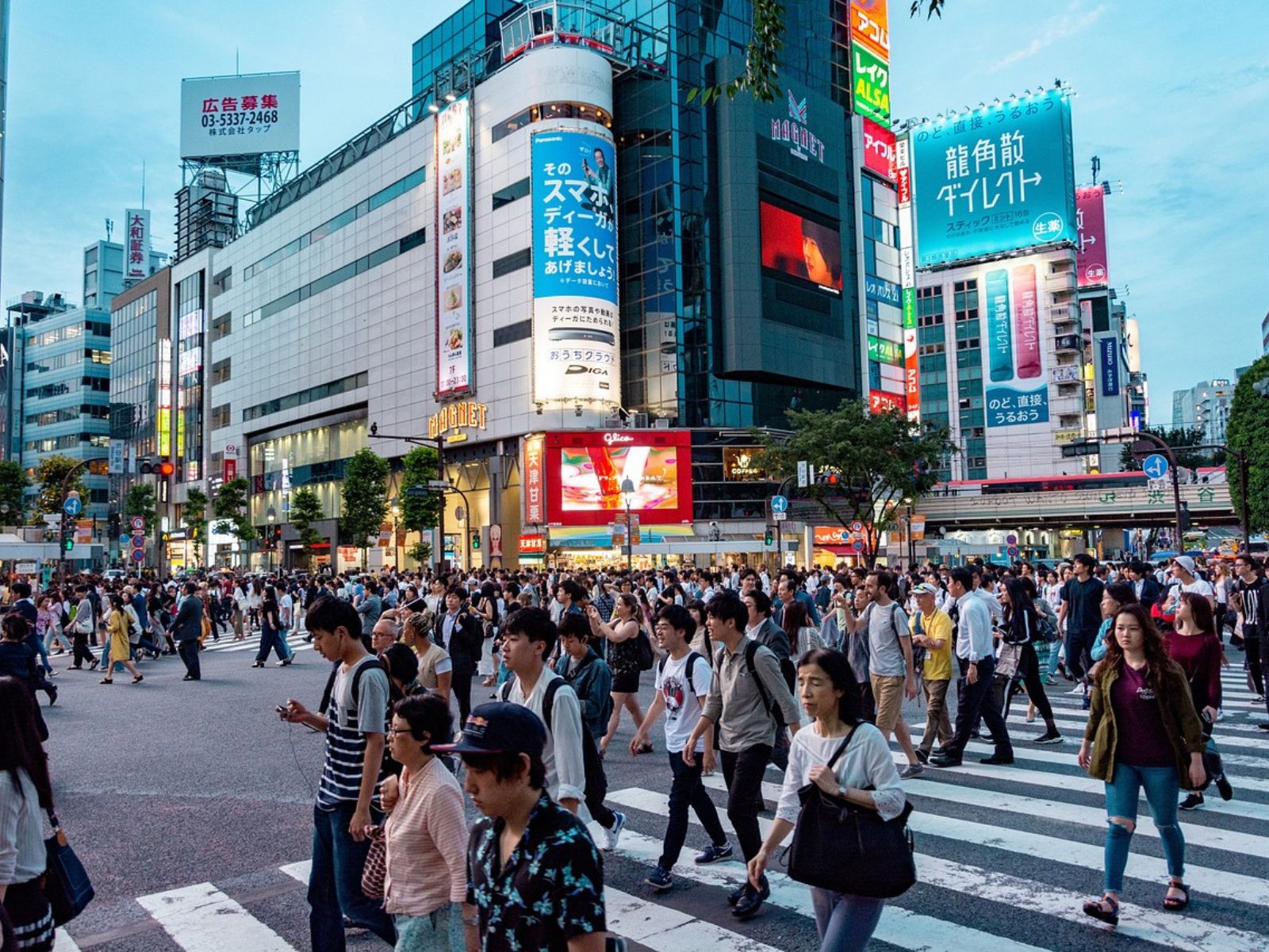 How Many CBD Consumers Are There In Japan?