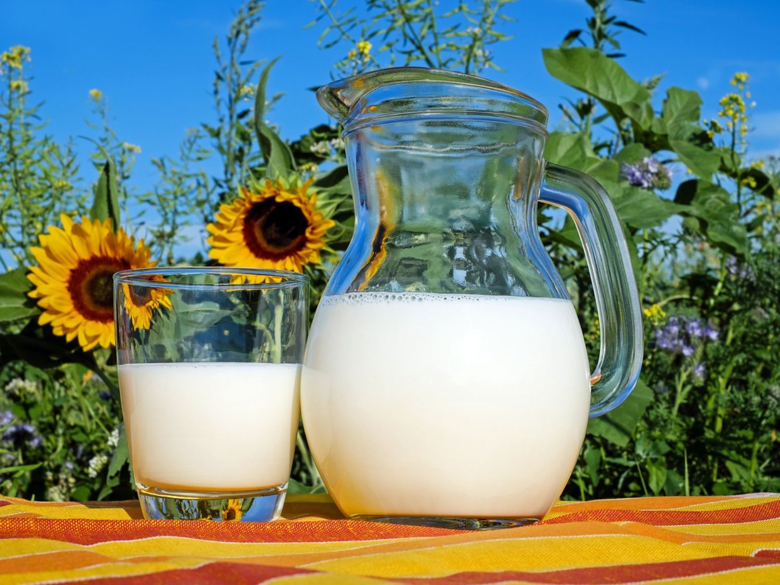 Global Hemp Milk Market Projected To Reach $812 Million By 2032