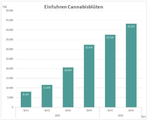 germany medical cannabis imports 2024 and 2025